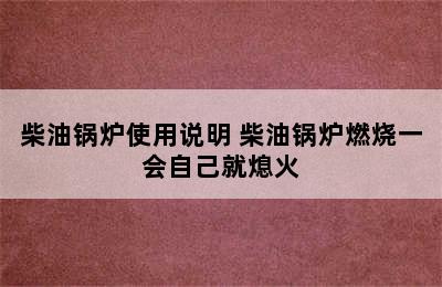 柴油锅炉使用说明 柴油锅炉燃烧一会自己就熄火